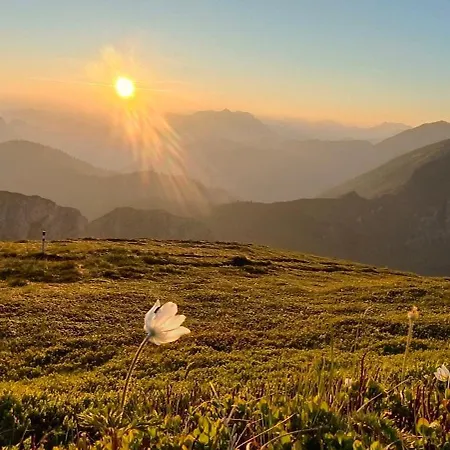 Gæstehus Und Gassner